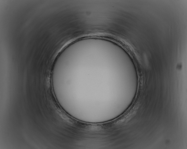 X0000097851409200803140846