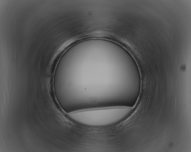 X0000097851410200803140846