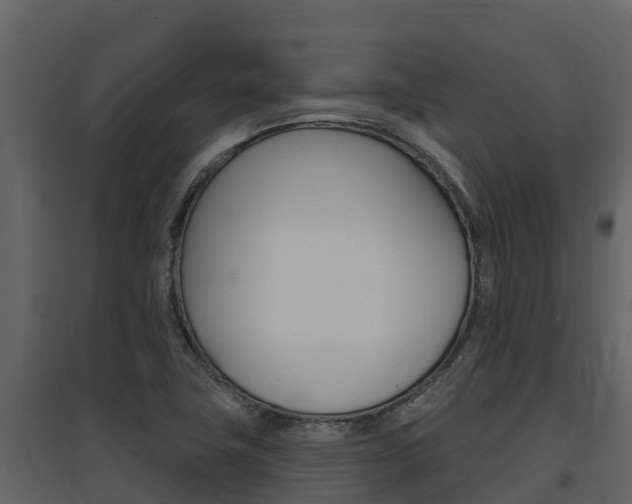 X0000097851411200803140846