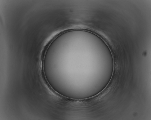 X0000097851414200803140846