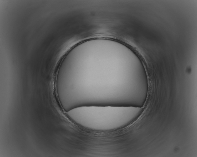 X0000097851415200803140846
