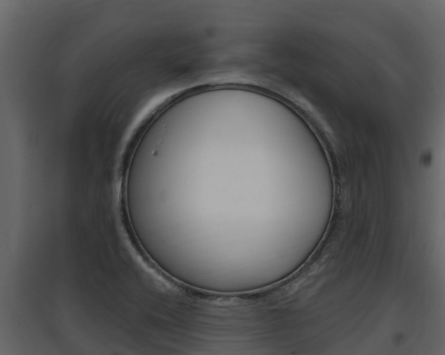 X0000097851416200803140846