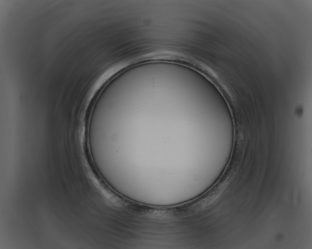 X0000097851418200803140846