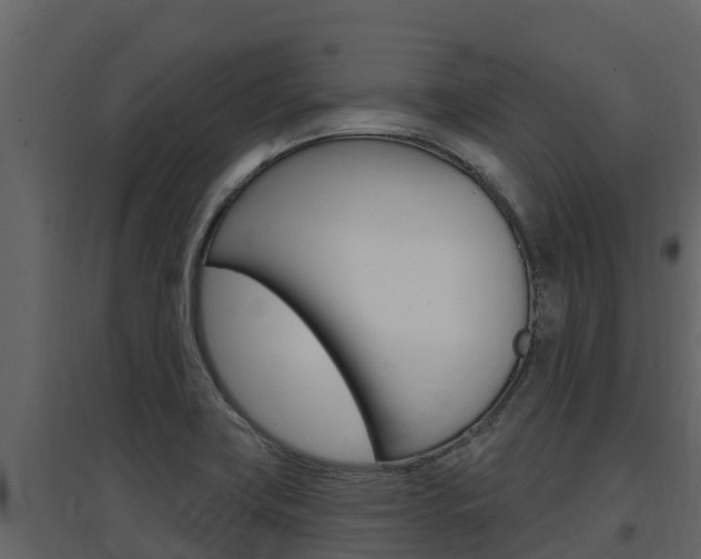 X0000097851419200803140846