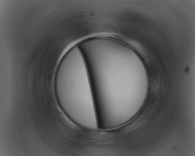 X0000097851420200803140847