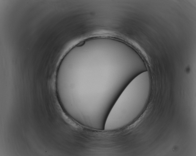 X0000097851421200803140847