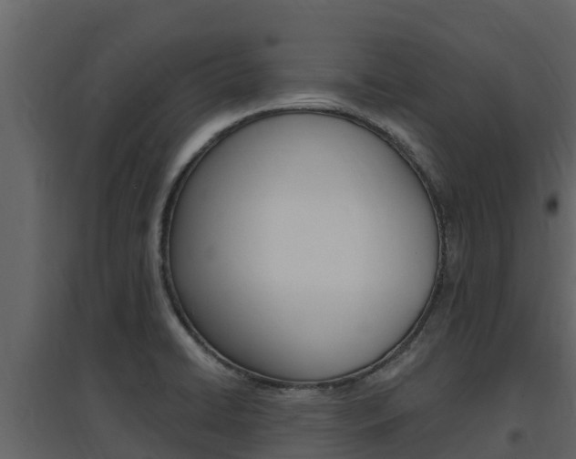 X0000097851422200803140847