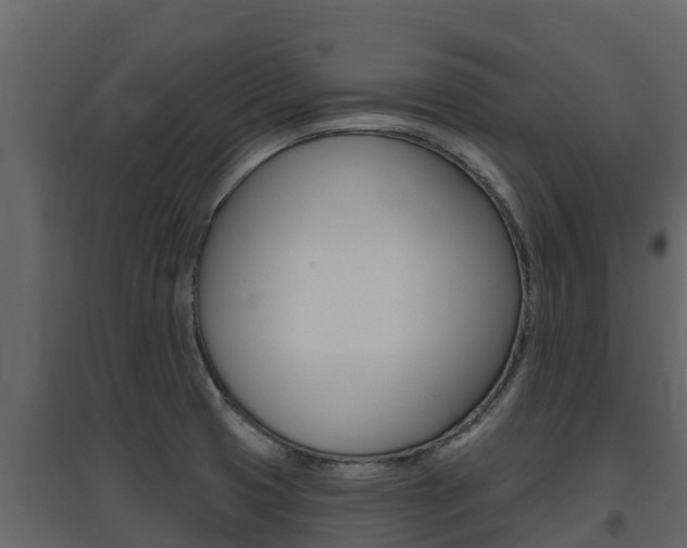 X0000097851425200803140847