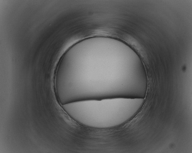 X0000097851427200803140847
