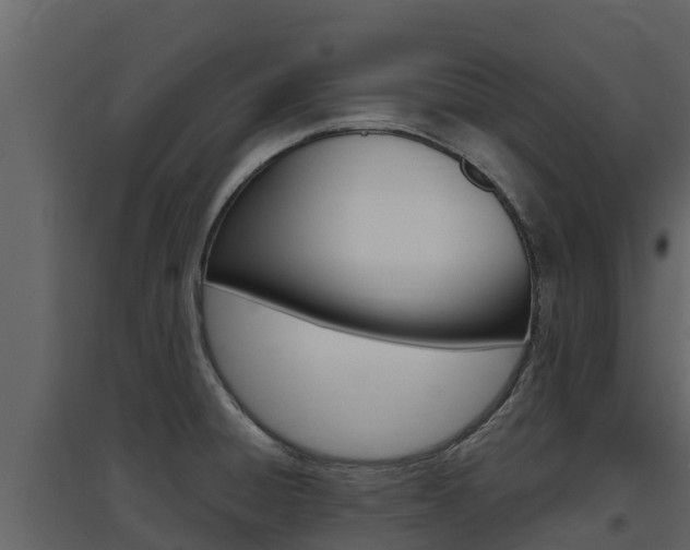 X0000097851428200803140847