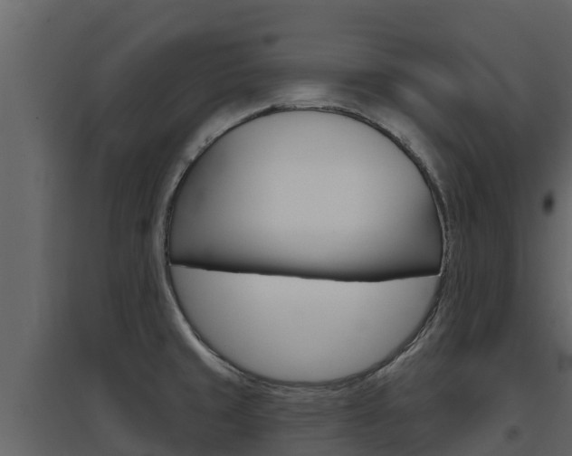 X0000097851429200803140847