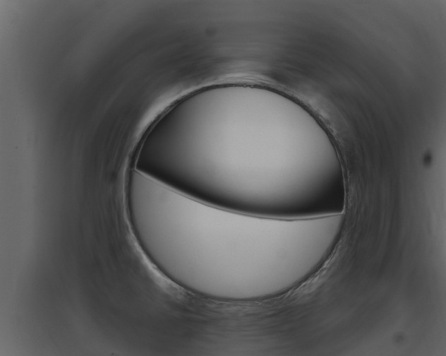 X0000097851430200803140847