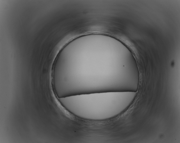 X0000097851431200803140847