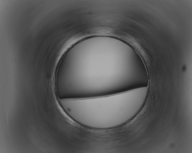 X0000097851432200803140847