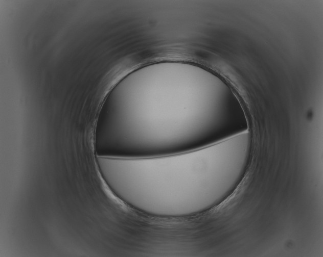 X0000097851433200803140847