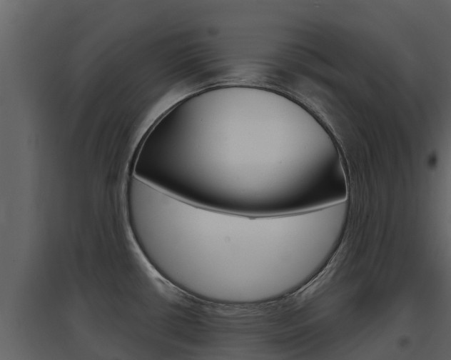 X0000097851434200803140847