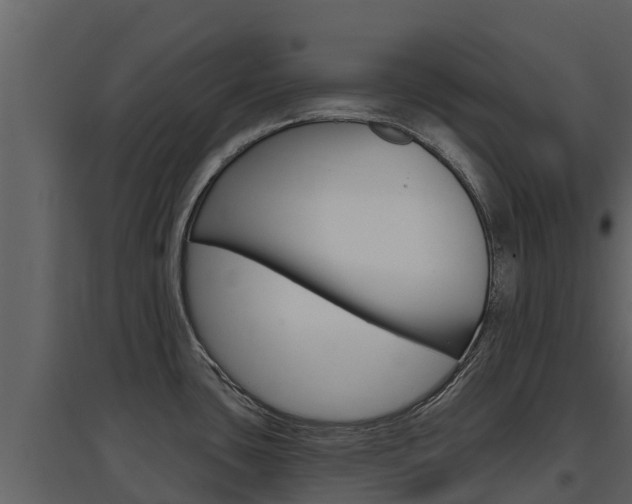 X0000097851435200803140847