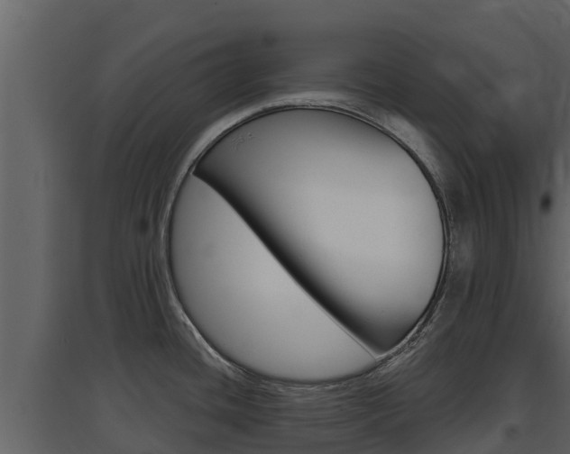 X0000097851436200803140847