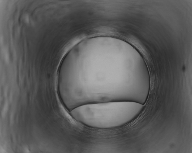 X0000097851439200803140847