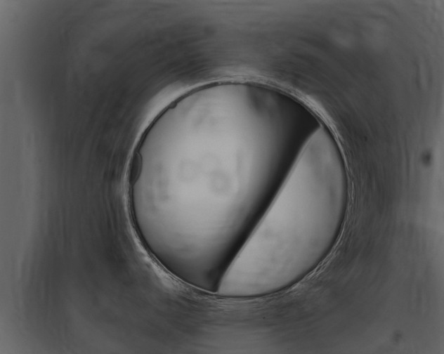 X0000097851440200803140847