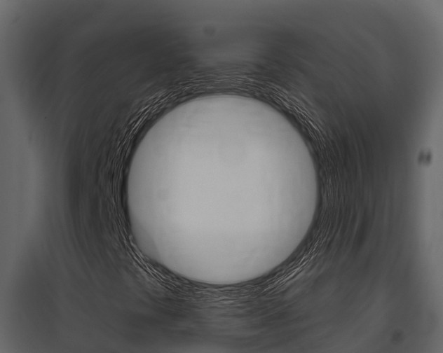 X0000097851441200803140846