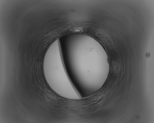 X0000097851442200803140846