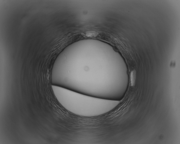 X0000097851443200803140846