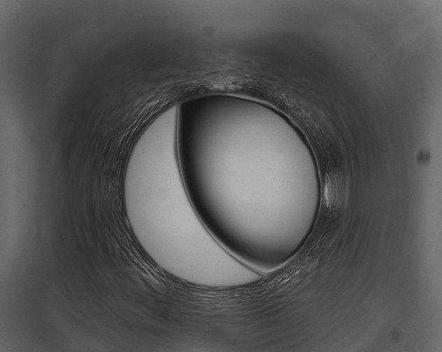 X0000097851444200803140846