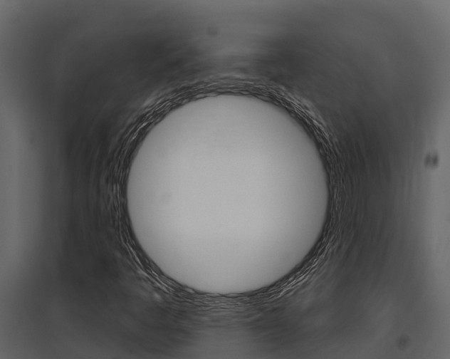 X0000097851445200803140846