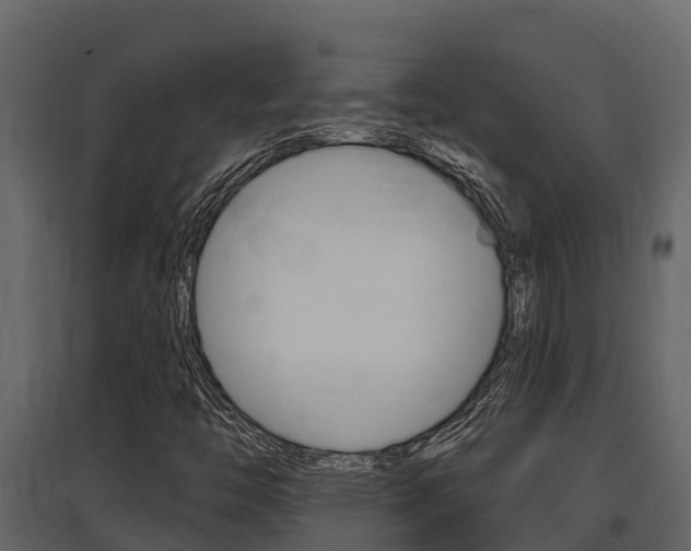 X0000097851446200803140846