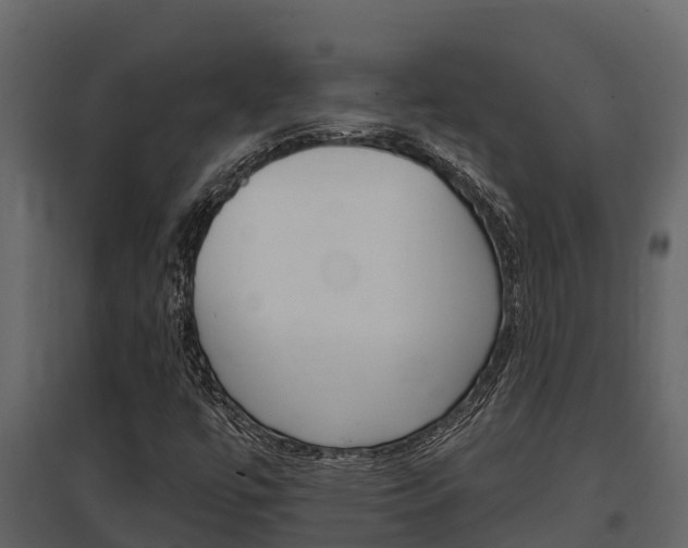 X0000097851447200803140846