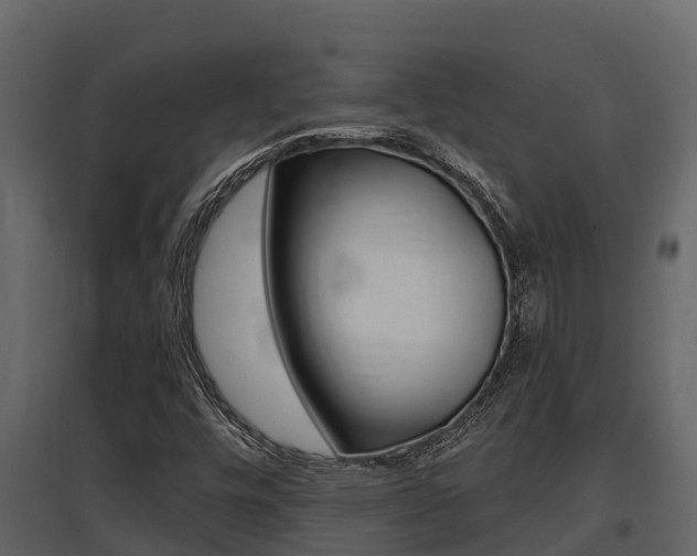 X0000097851448200803140846