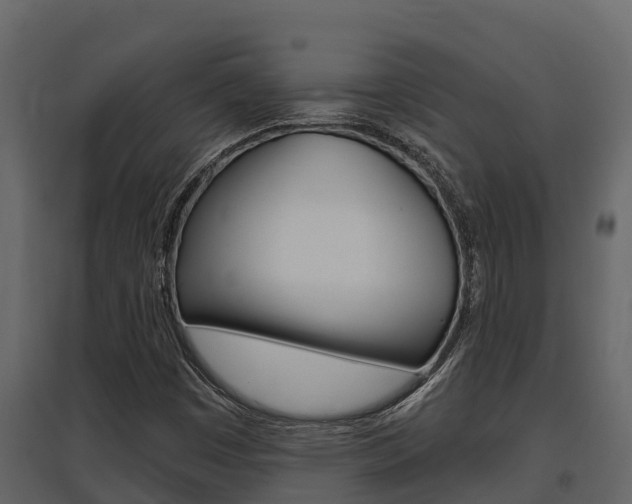 X0000097851449200803140846