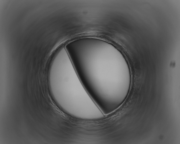 X0000097851450200803140846