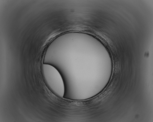 X0000097851451200803140846