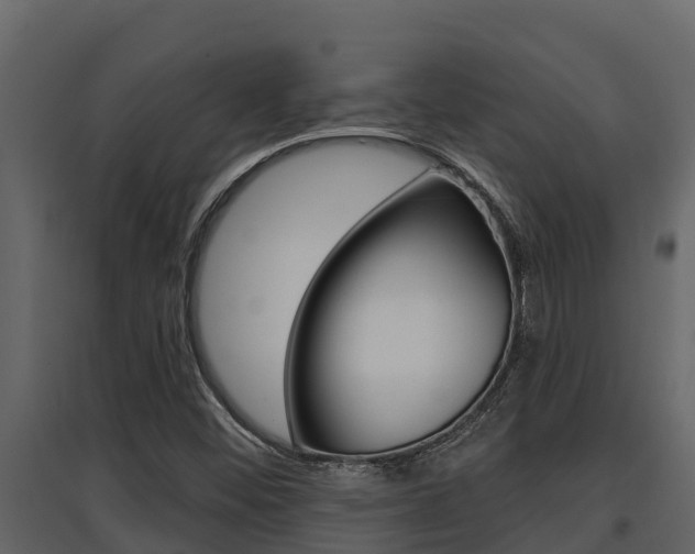 X0000097851452200803140846