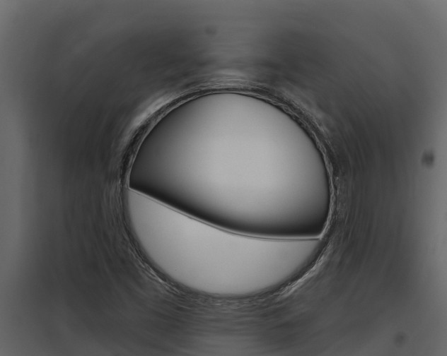 X0000097851453200803140846