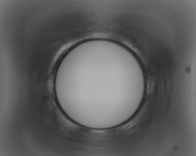 X0000097851454200803140846