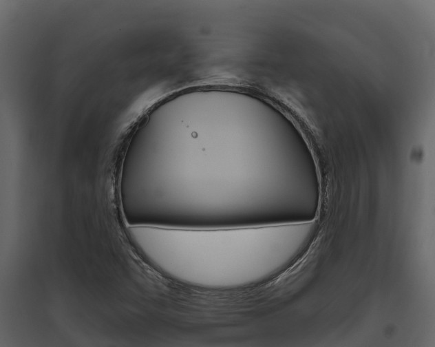 X0000097851455200803140846