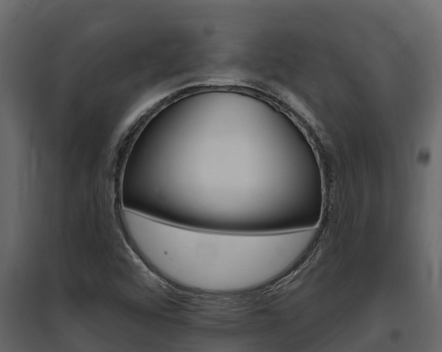 X0000097851456200803140846