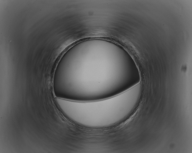 X0000097851457200803140846