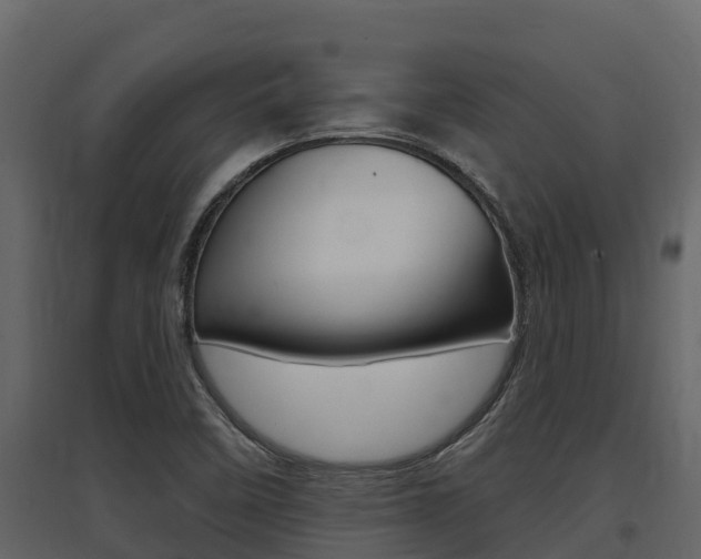 X0000097851458200803140846