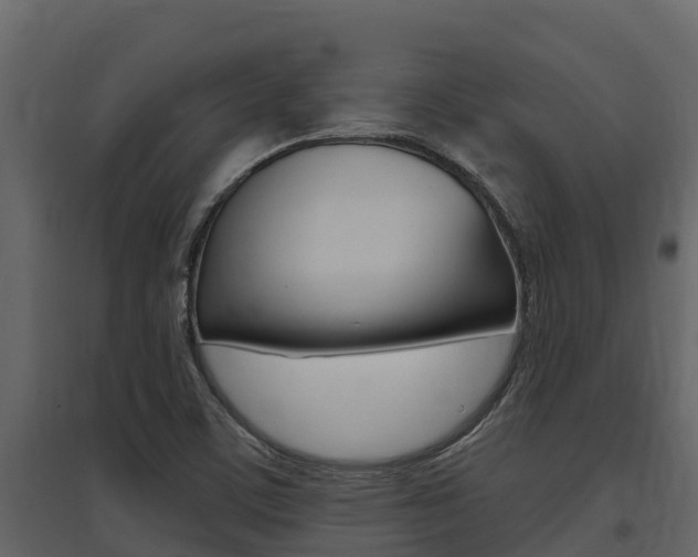 X0000097851459200803140846