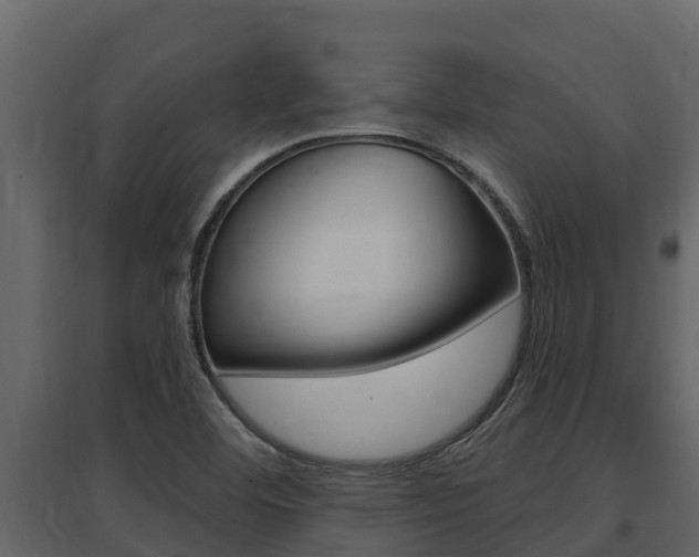 X0000097851460200803140846