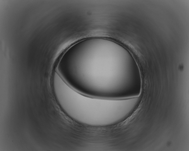 X0000097851461200803140846