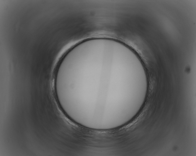 X0000097851462200803140846