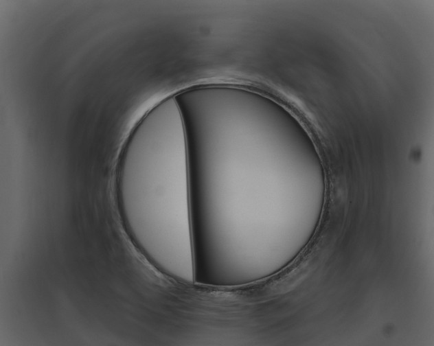 X0000097851463200803140846