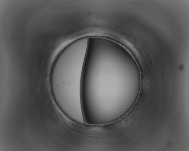 X0000097851464200803140846