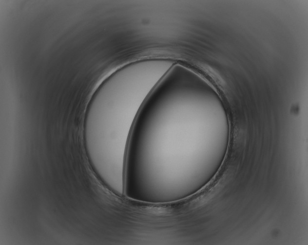 X0000097851465200803140846