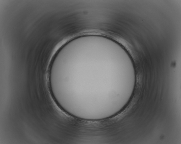 X0000097851466200803140846